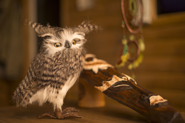 Хижина шамана