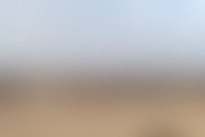 Фотография квеста Пирамиды от компании Gamez (Фото 1)
