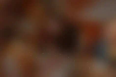 Квиз «Полная ребусня» от Полная ребусня
