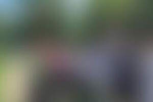 Фотография городского квеста Тайны парка чудес от компании Библиотека городских историй (Фото 1)