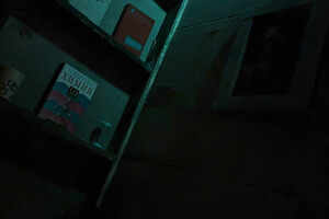 Фотография перформанса Шепот тьмы от компании Очень страшный квест (Фото 1)