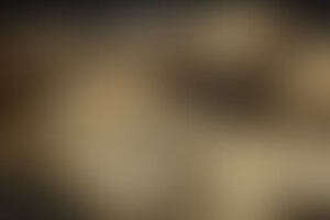 Фотография квеста Совершенно секретно от компании выХод (Фото 1)