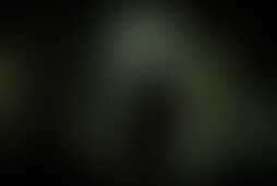 Фотография ролевого квеста Золотая лихорадка от компании Праздник здесь (Фото 1)