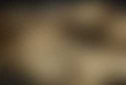 Фотография квеста Совершенно секретно от компании выХод (Фото 1)